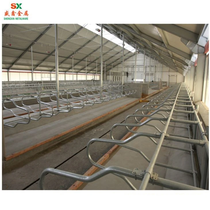 Cow Free Stall